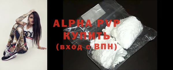 гашик Инсар
