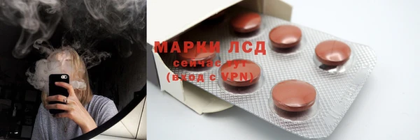 ECSTASY Каменка