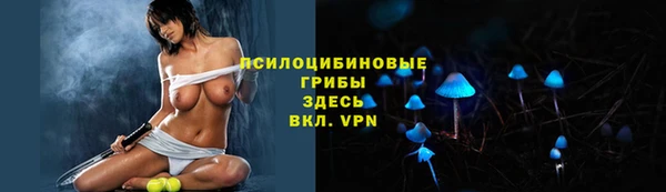 индика Касимов