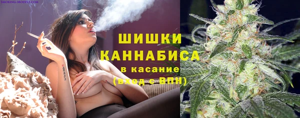 ECSTASY Каменка