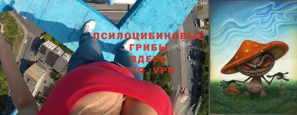 индика Касимов