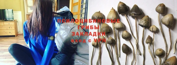 индика Касимов
