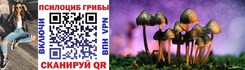 Псилоцибиновые грибы GOLDEN TEACHER  Красноармейск 