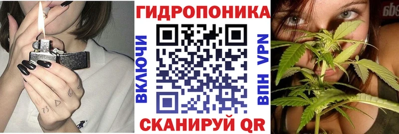 продажа наркотиков Красноармейск сайты даркнета состав Бошки Шишки White Widow